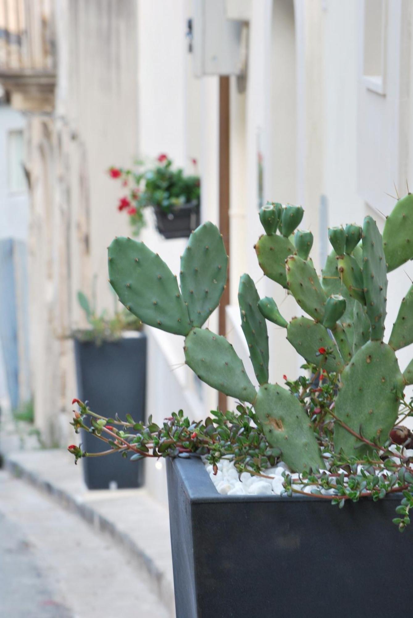 A Casa Di Grazia Bed & Breakfast Ragusa Dış mekan fotoğraf